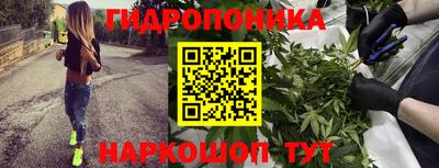 каннабис Гудермес